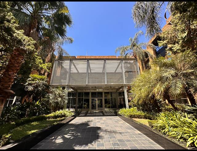 208M² OFFICE TO LET IN ROSEBANK